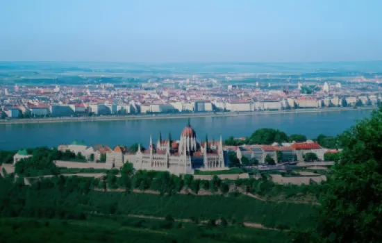 Kup winietę węgierską