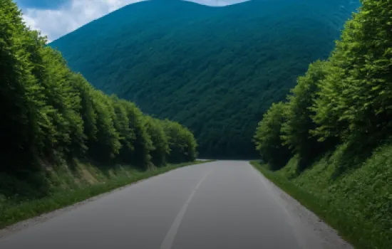 Cumpără o vignetă pentru Bulgaria